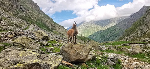 Vallone della Barra