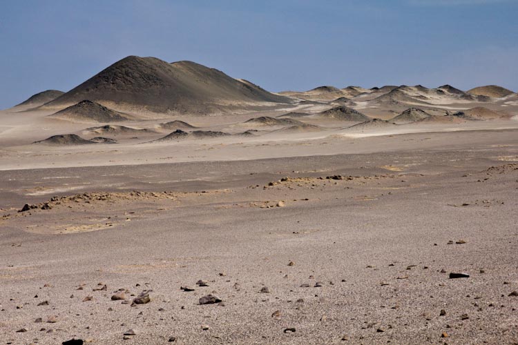 Reserva Natural Paracas