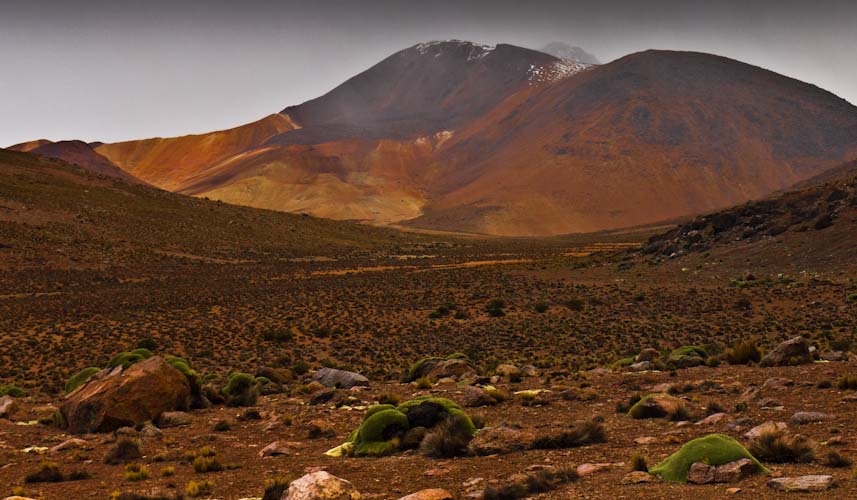 Isluga Nationalpark