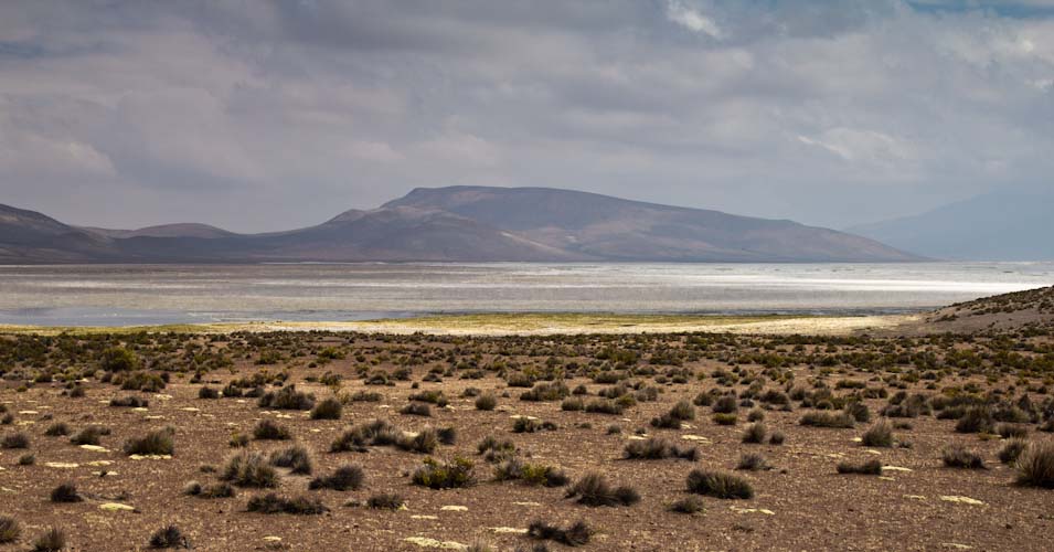 Salar de Surire