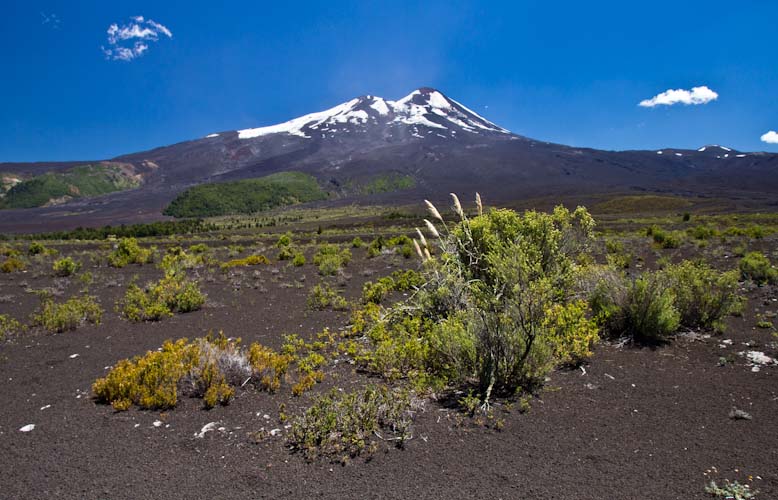 Vulkan Llaime / Volcano Llaime