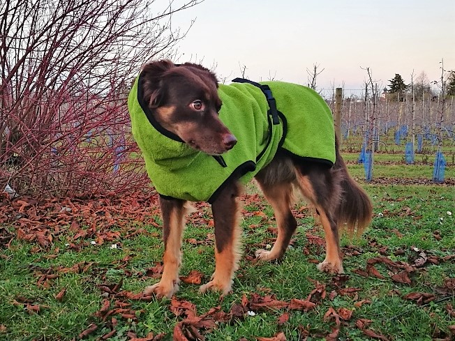 Dryup Cape von actionfactory