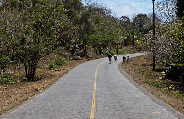 Nicaragua: Ometepe - the traffic on the road